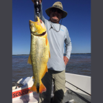 Os melhores destinos no Brasil para viajar gastando pouco em 2026 revelam paisagens incríveis sem comprometer o orçamento, comenta Leonardo Rocha de Almeida Abreu.