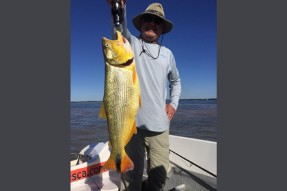 Os melhores destinos no Brasil para viajar gastando pouco em 2026 revelam paisagens incríveis sem comprometer o orçamento, comenta Leonardo Rocha de Almeida Abreu.